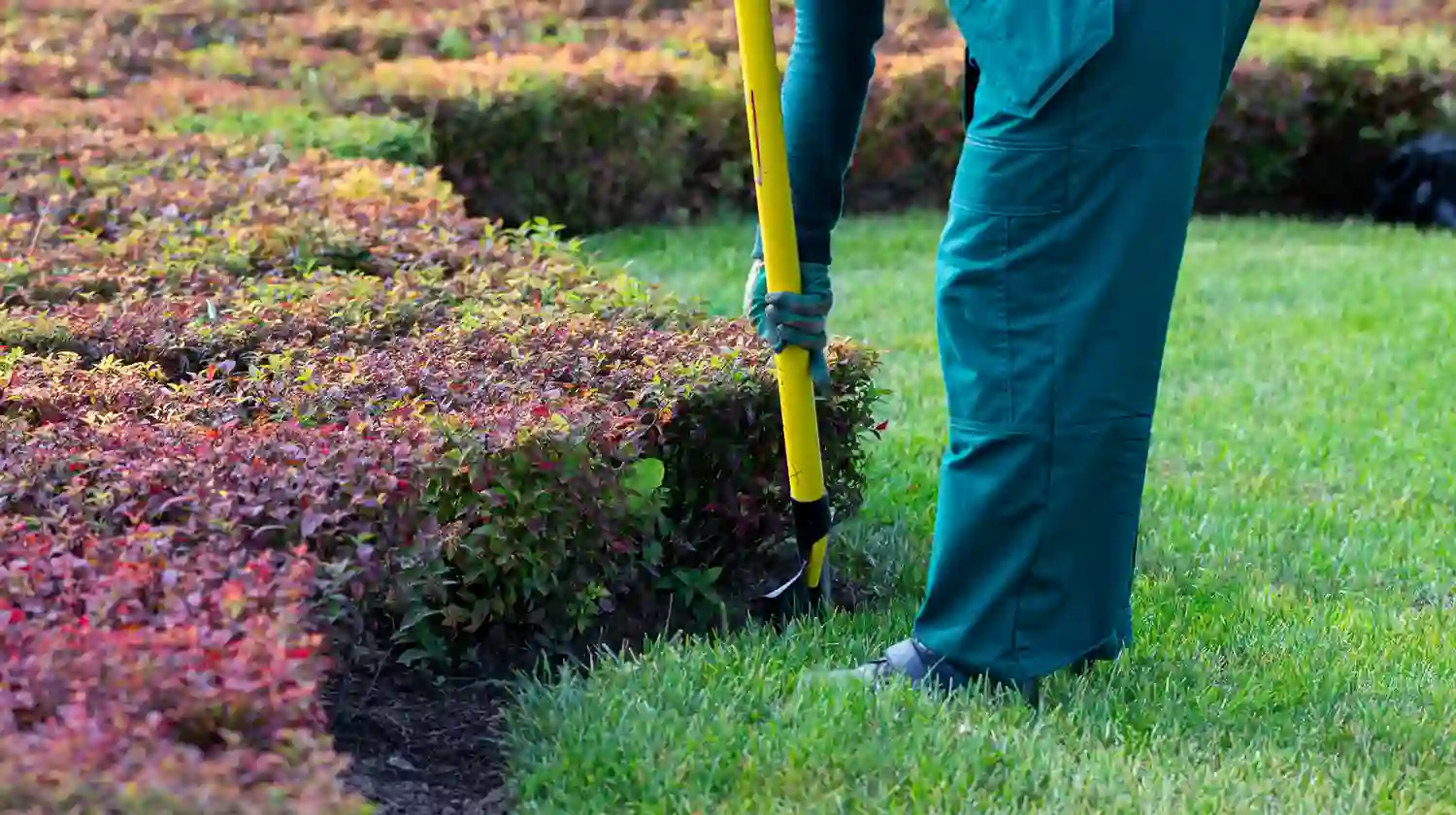 Manutenzione di parchi e giardini